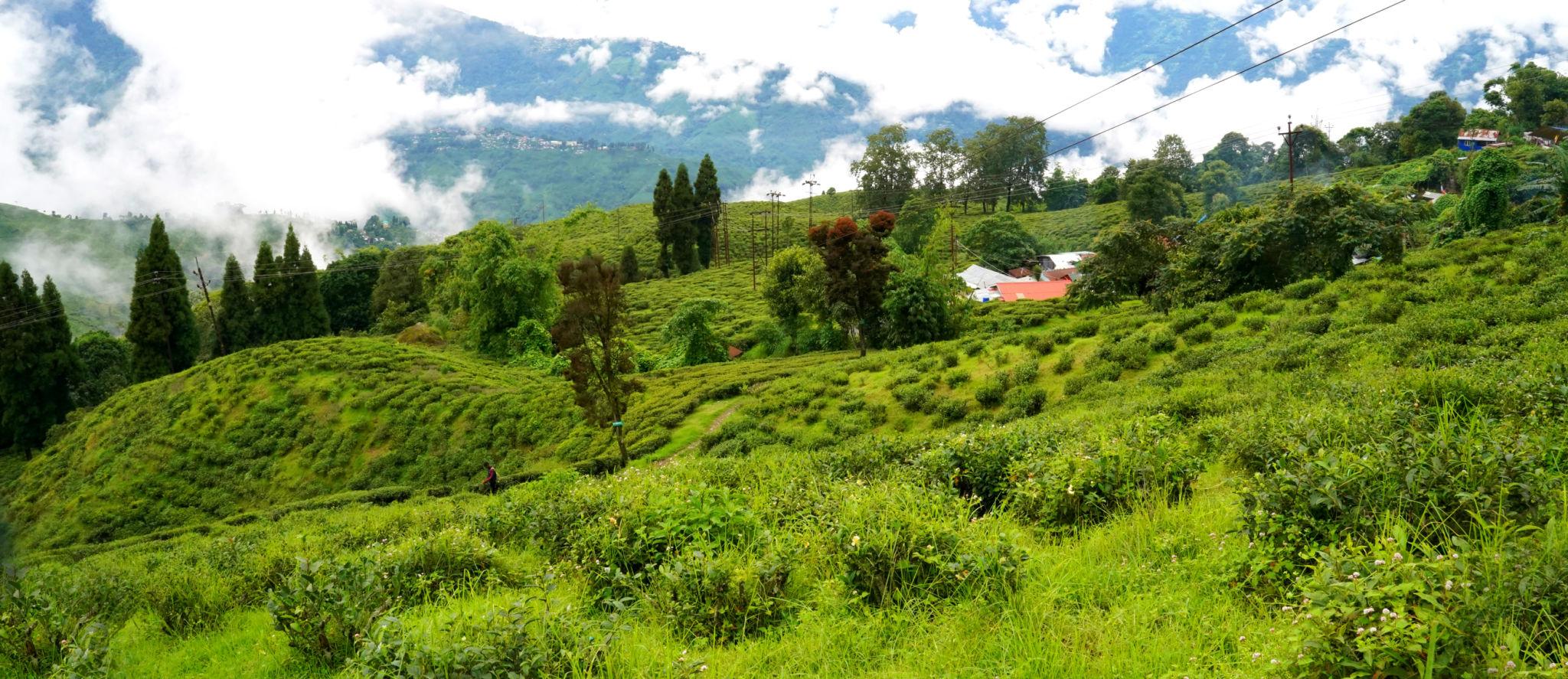 Kashmir – Heaven on Earth